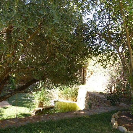 Agadir-Taghazout Magnifique Villa Dar Lina 4 Etoiles Exterior foto